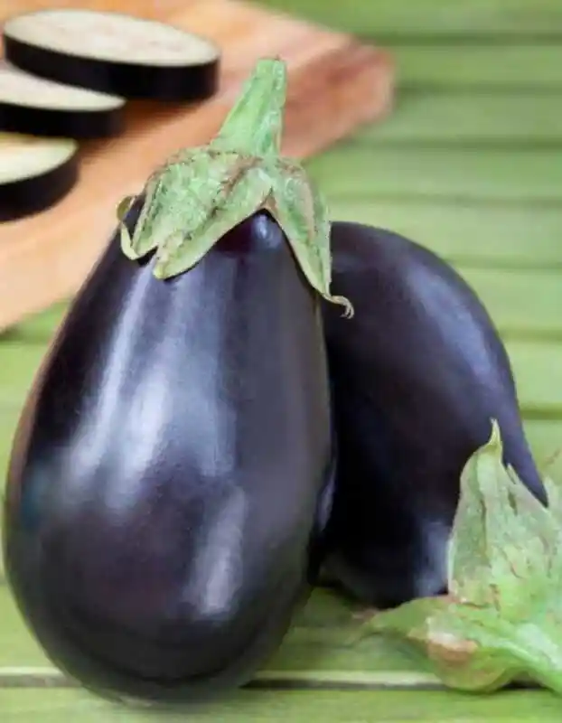 Овощ баклажан — баклажан черный принц
