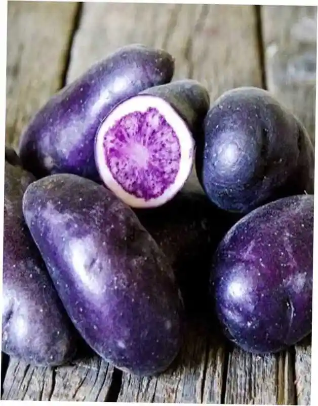 Картофель пурпл конго — фиолетовая картошка сорт