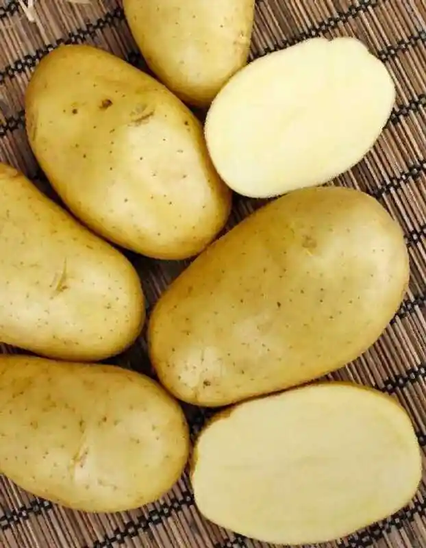Картофель сорт никулинский — Картофель мелкий