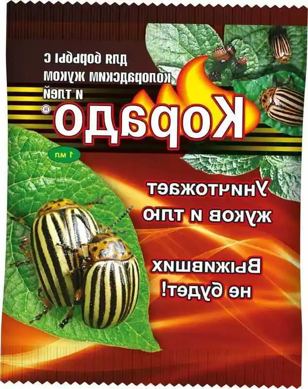 Колорадский жук — средство от колорадского жука корадо