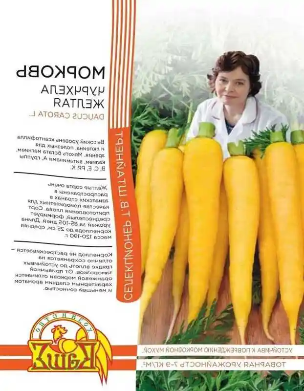 Морковь чаровница седек — желтая морковка сорт