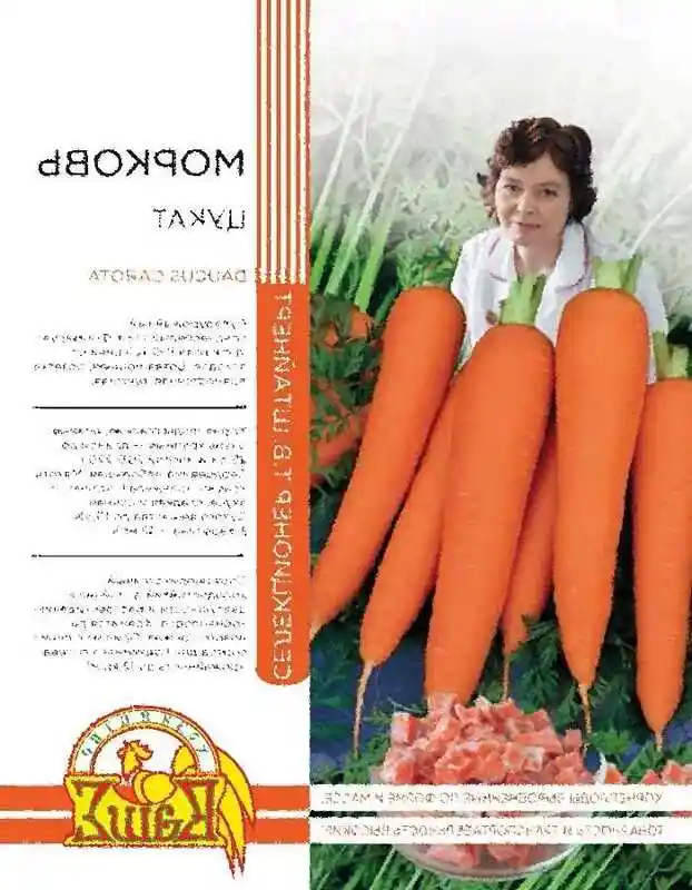Морковь — лучшие сорта моркови