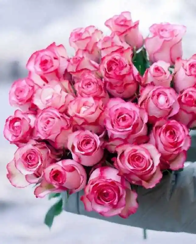 Роза дип ватер букет — розовые розы