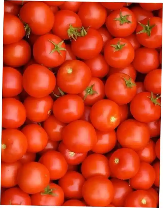 Помидоры фон — томат бамбини f1