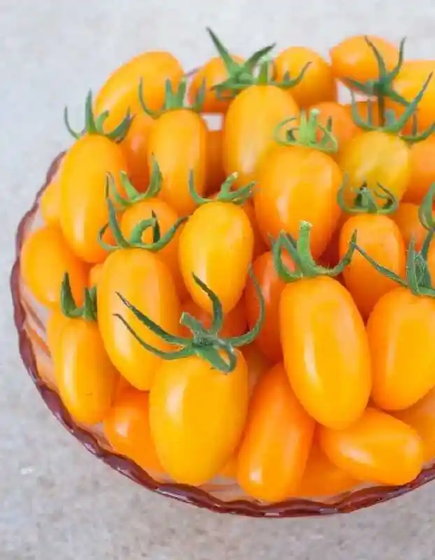 Томат оранжевое чудо — томаты сливка оранжевые