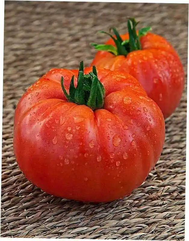Сорта томатов — томат фигурный