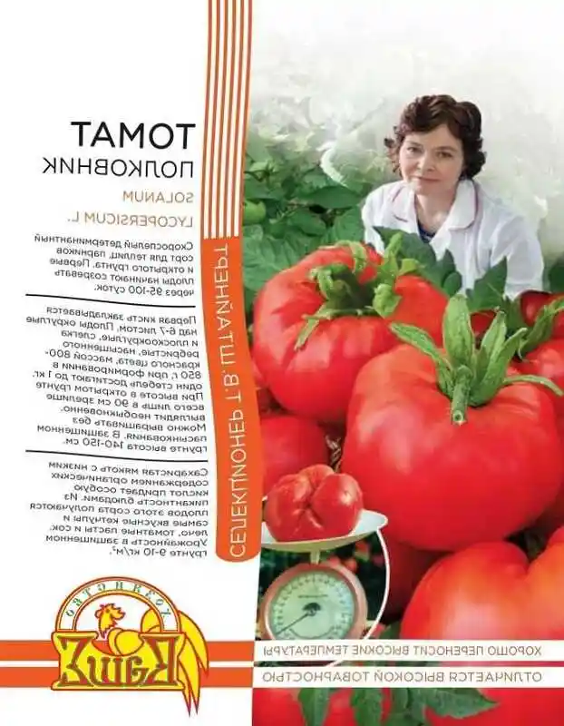 Сорта помидор — сорта томатов
