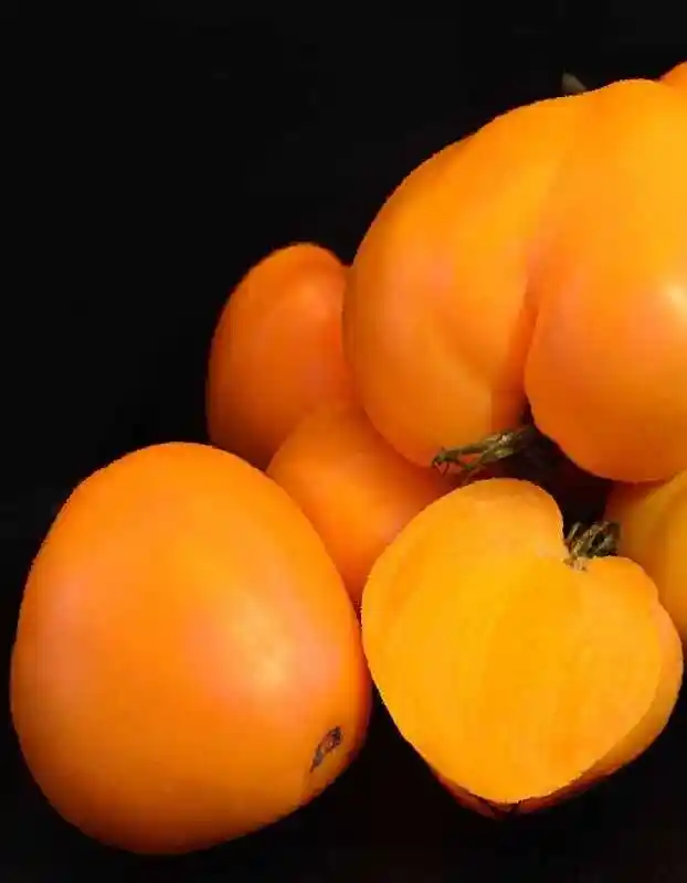 Томат бизон оранжевый — Томаты сердцевидные оранжевый