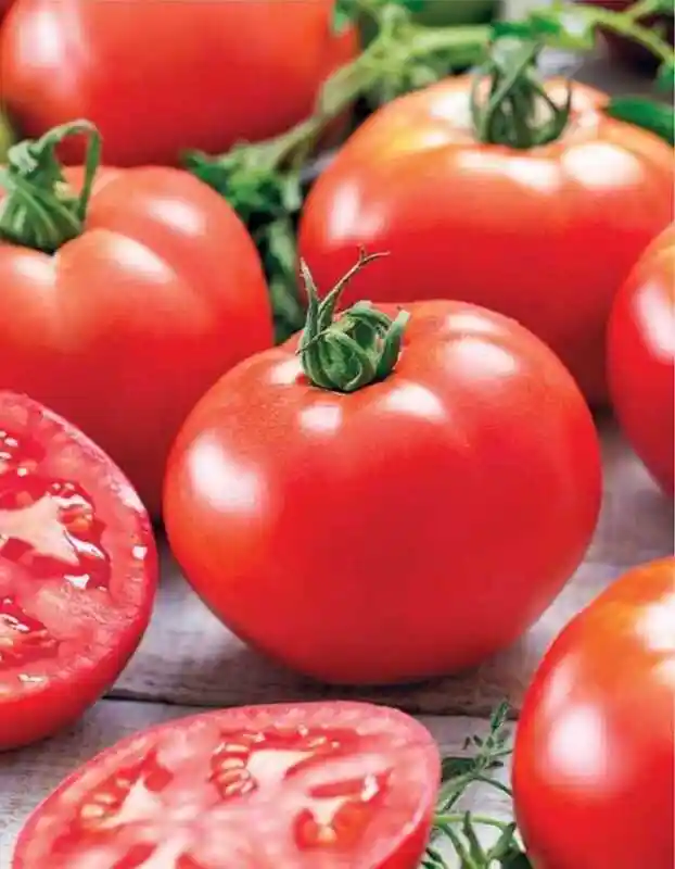 Сорт томатов — томат фифти f1