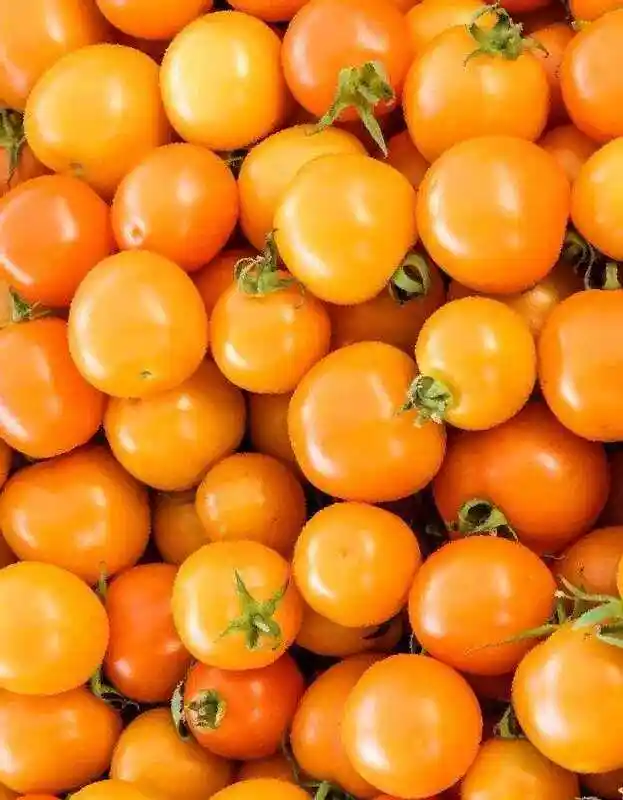 Lycopersicon esculentum mill томат — томат черри златовласка